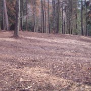 miglioramenti ambientali (4)